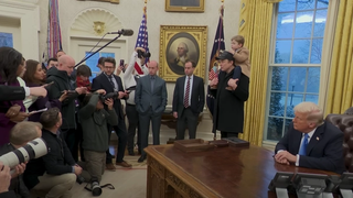 ایلانماسکواله (ایلان ماسکیزم)