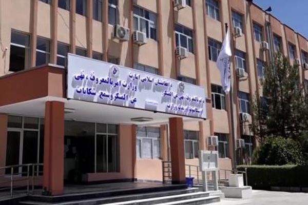 طالبان وایي په درېیو ولایتونو کې یې ۹ ښځې له کورني تاوتریخوالي ژغورلې دي