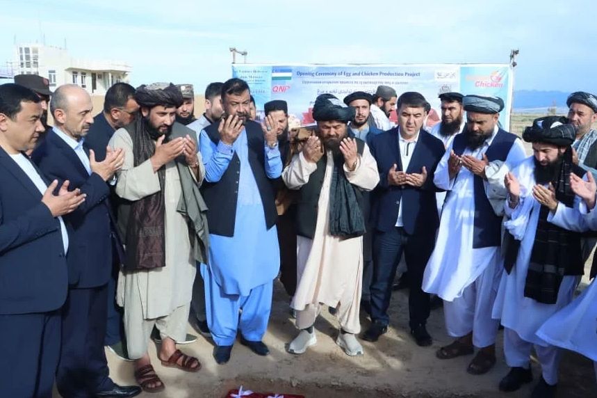 افغان او ازبک پانګه‌وال په بلخ کې د ۶۰مېلیونه ډالرو په لګښت د چرګانو او هګیو فابریکه جوړوي