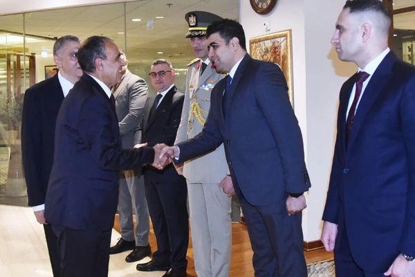 د سیمې د وضعیت په تړاو ناسته؛ د مصر د بهرنیو چارو وزیر اسلاماباد ته ورسېد