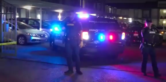 امریکا کې د موټرو درولو پر سر شخړه کې یو پخوانی افغان سرتېری وژل شوی