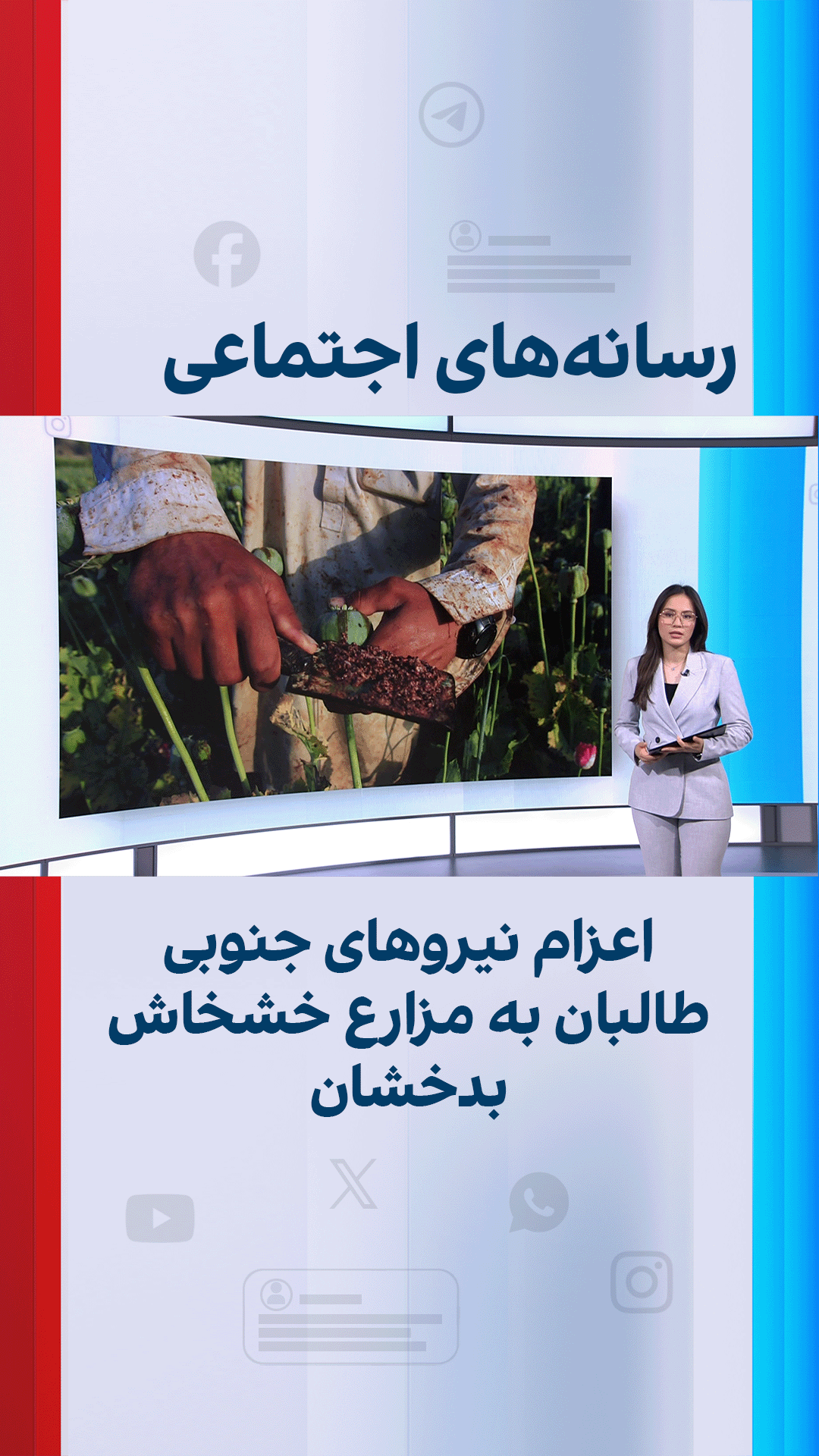 اعزام نیرو‌های جنوبی طالبان به مزارع خشخاش بدخشان