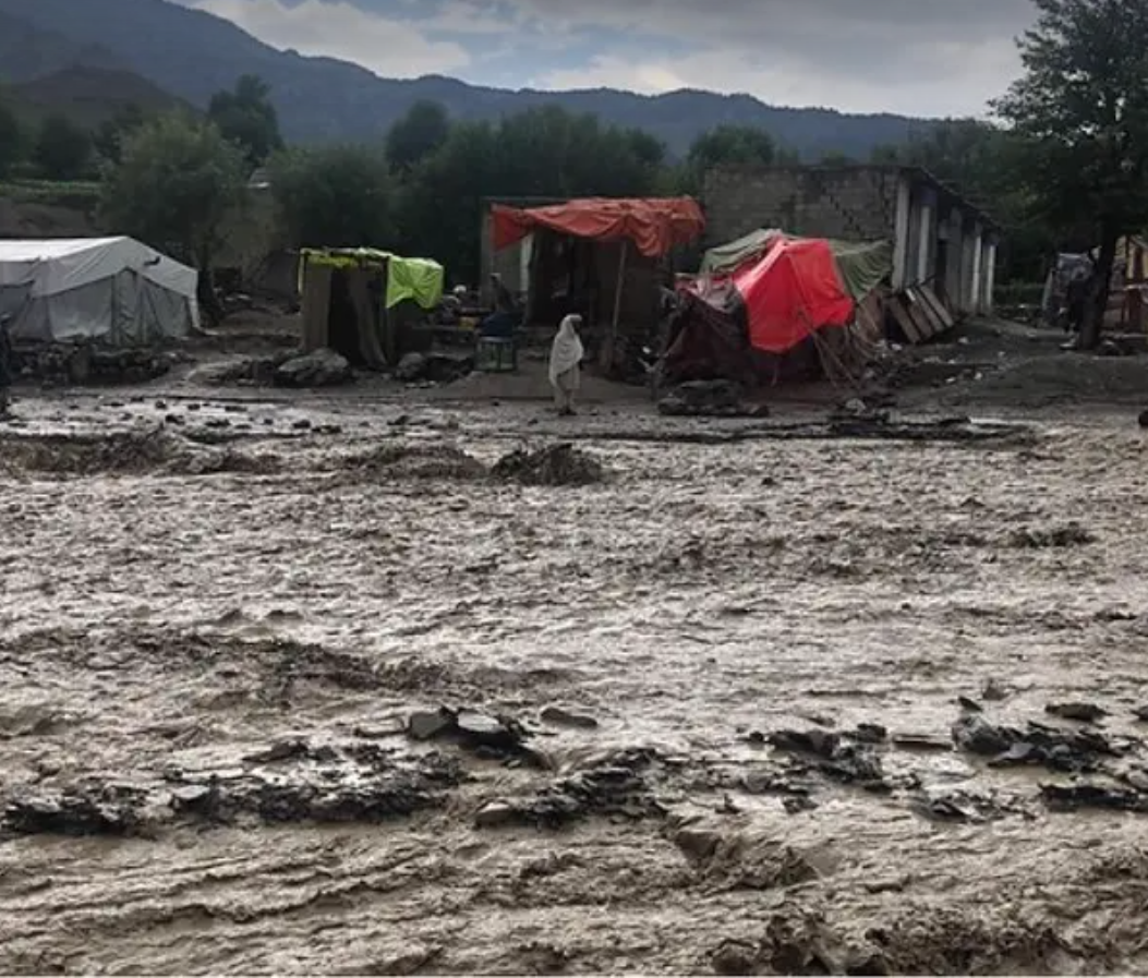 Norwegian Refugee Council Concerned About New Wave of Poverty, Displacement in Afghanistan