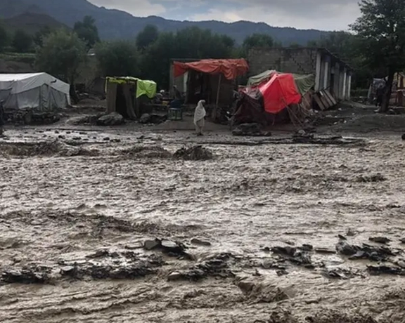 Norwegian Refugee Council Concerned About New Wave of Poverty, Displacement in Afghanistan