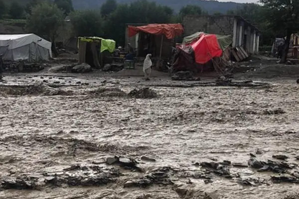 Norwegian Refugee Council Concerned About New Wave of Poverty, Displacement in Afghanistan