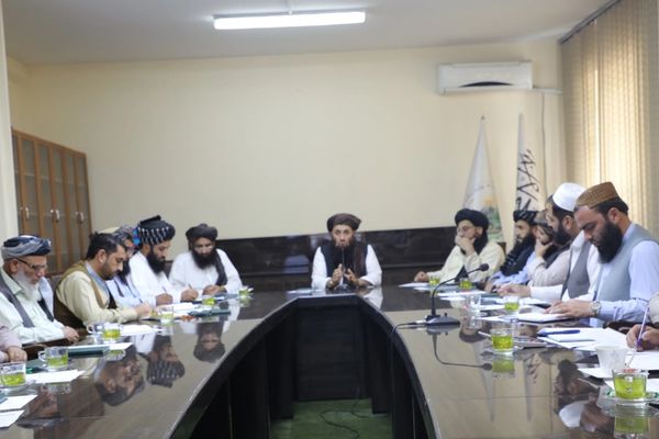 د طالبانو د کرنې وزیر د اصلاح شویو تخمونو پر وړ بیې ټینګار کړی