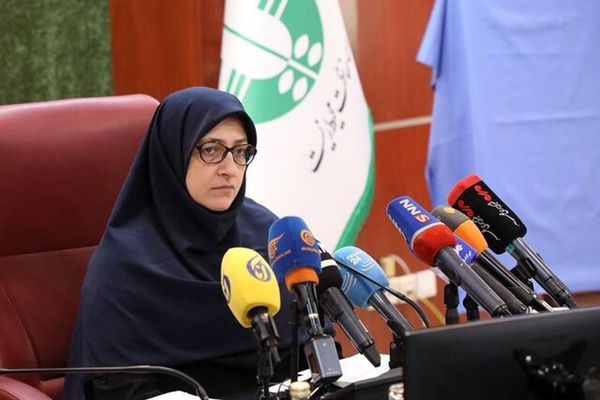 Iran’s Environmental Organisation Proposes Joint Projects to the Taliban