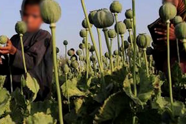 Nearly 27000 Public High-Risk Drug Users In Afghanistan By 2023, Says UN