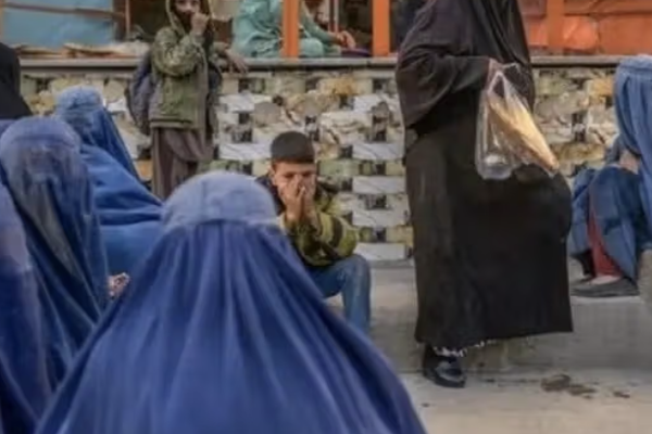 الممثل الخاص لبريطانيا يحذر من أزمة الغذاء في أفغانستان