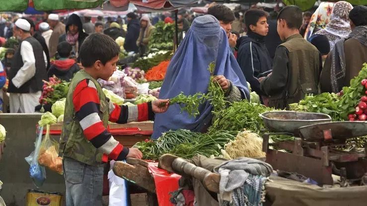 په کندهار کې د بازار نشتوالي له امله د ترکارۍ بیه ټیټه شوې