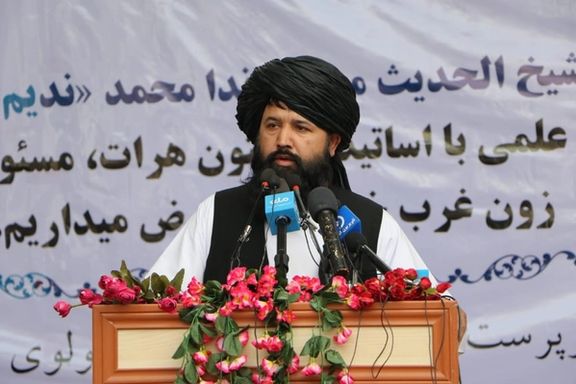 وزیر تحصیلات طالبان خواهان بازگشت استادان دانشگاه از خارج کشور شد