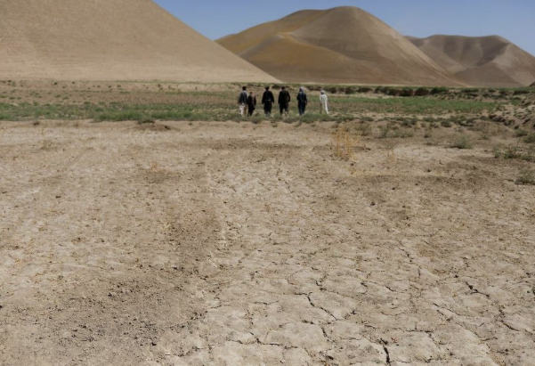 الأمم المتحدة: أكثر من ثلثي ولايات أفغانستان تواجه الجفاف