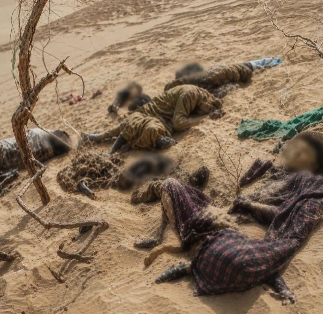 طالبان: د نیمروز په ریګونو کې د هر مړه شوي کس کورنۍ ته ۲۰ زره افغانۍ ورکوو