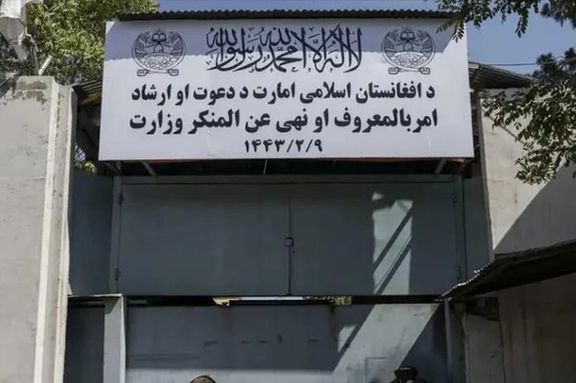 طالبان ادعا کرد که از پنج هزار ازدواج اجباری در افغانستان جلوگیری کرده است