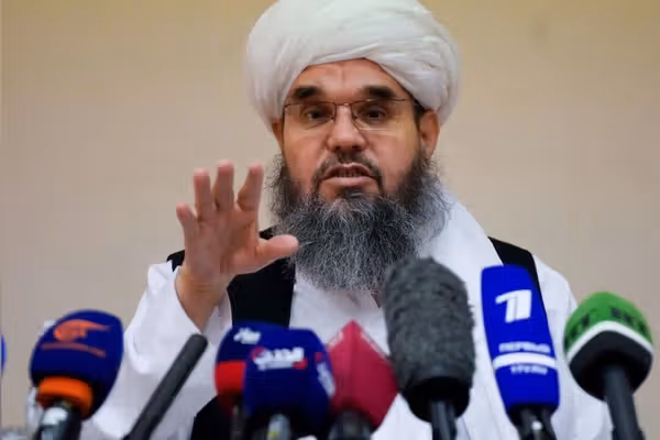 دلاور: فروپاشی طالبان به هرجومرج میانجامد