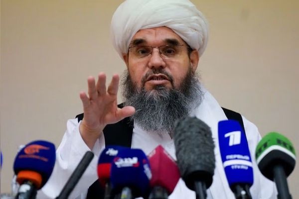 دلاور: فروپاشی طالبان به هرجومرج میانجامد
