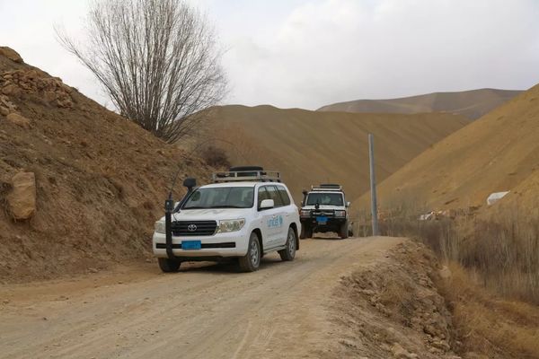 یونیسف درباره ثبتنامهای جعلی با سوءاستفاده از نام این نهاد هشدار داد