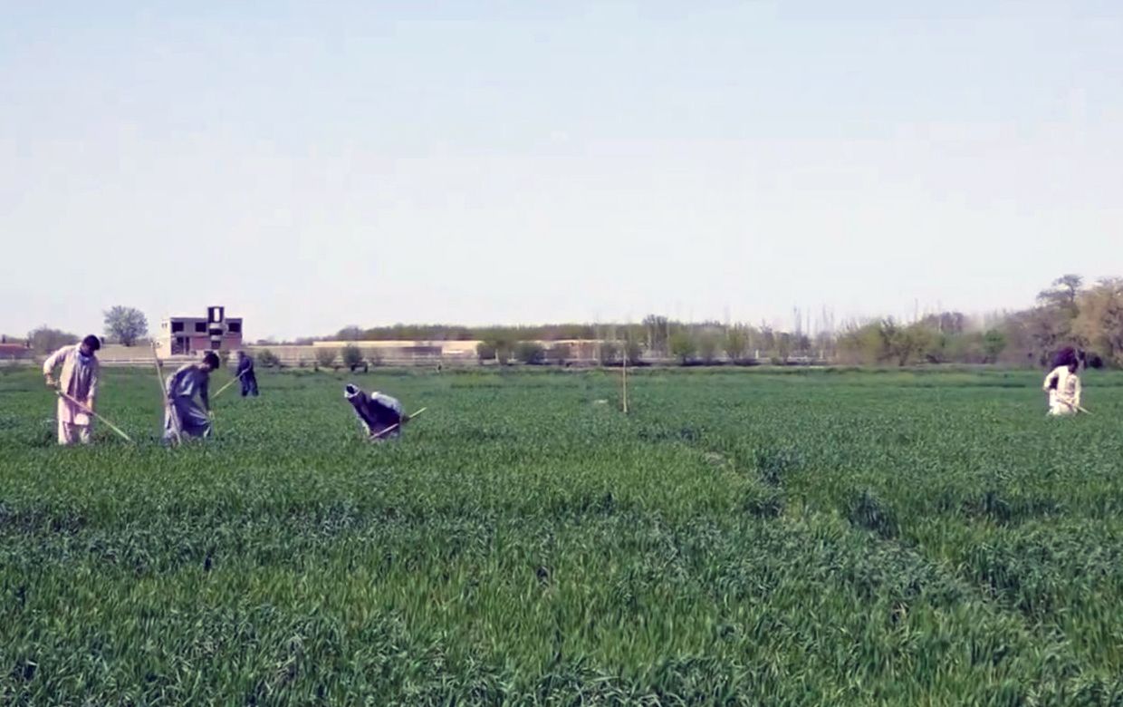 د هالنډ کمېټه وايي په افغانستان کې یې تر شپږ ميلیونه ډالرو  ډېر خدمات وړاندې کړي