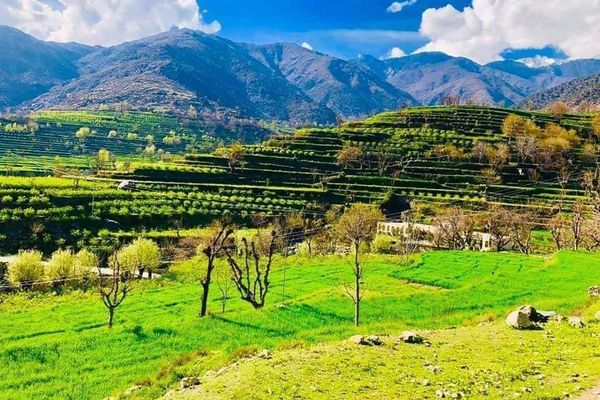 په ننګرهار کې د طالبانو پر موټر چادونه؛ د یوه قومندان په ګډون څلور جنګیالي وژل شوي