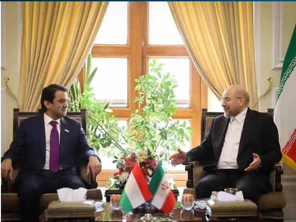 Iranian Parliament Speaker Discusses ISIS Threat In Afghanistan With Tajik Counterpart