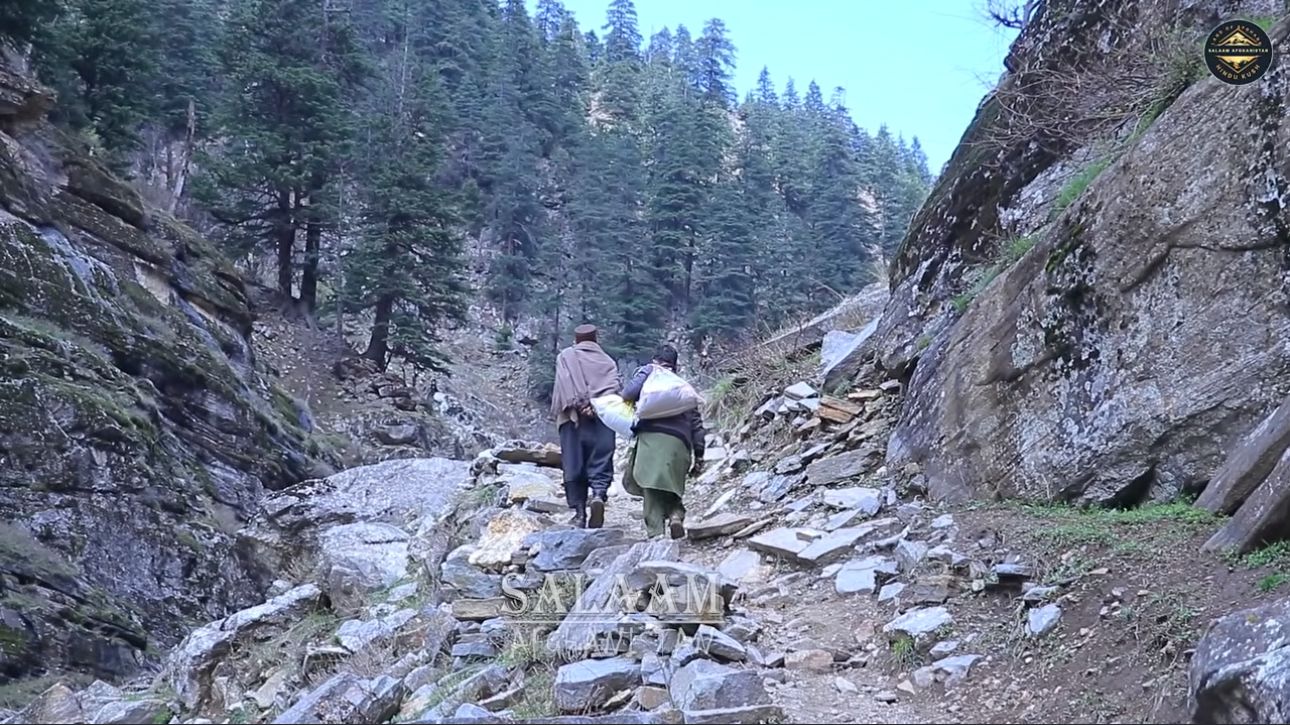  ۶ کودک بر اثر سوء تغذیه و بسته ماندن راه‌ها در نورستان جان باختند