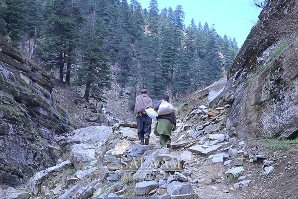 ۶ کودک بر اثر سوء تغذیه و بسته ماندن راهها در نورستان جان باختند