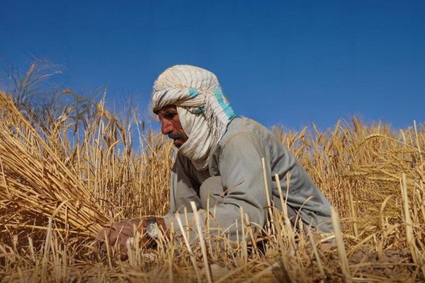 قزاقستان وایي افغانستان د قزاقي غنمو او اوړو د مهمو بازارونو له ډلې دی