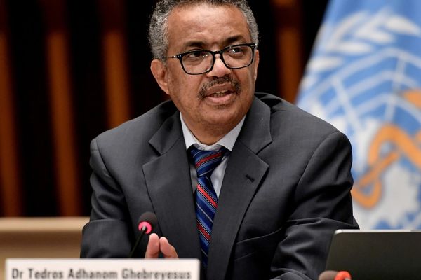 رئیس سازمان بهداشت جهانی: هانتاویروس تهدیدی شبیه کووید نیست