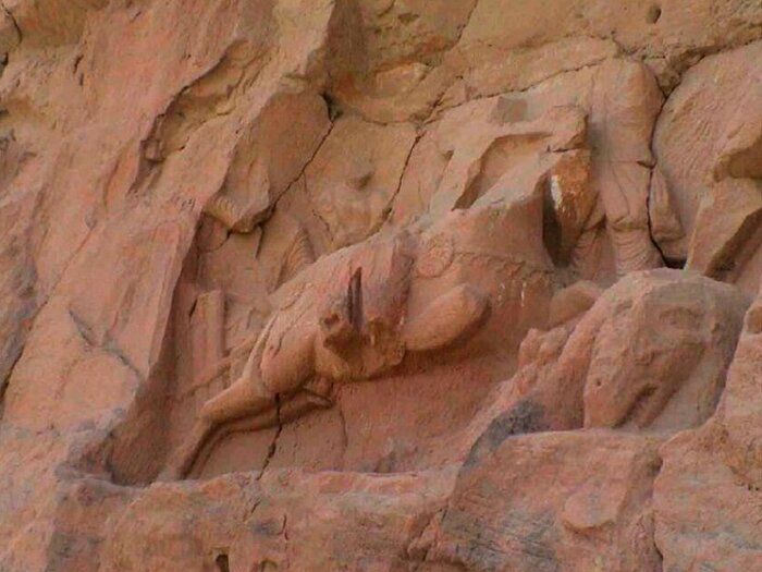 یک باستان‌شناس ایرانی 'از ۲۰ سال مشغول مرمت آثار تاریخی در افغانستان است'