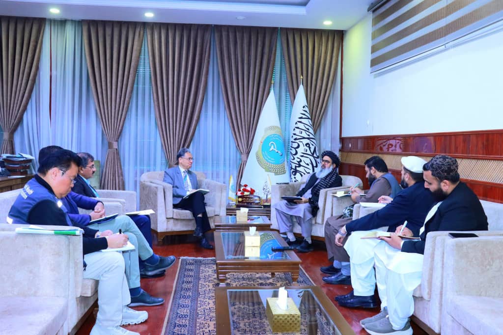 د طالبانو د روغتیا وزیر د روغتیا نړیوال سازمان له استازي سره پر روغتیايي خدماتو غږېدلی