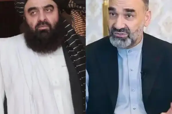 حمله نور به متقی: شکم بزرگتان از اثرات دودپتی مدرسه پاکستان است