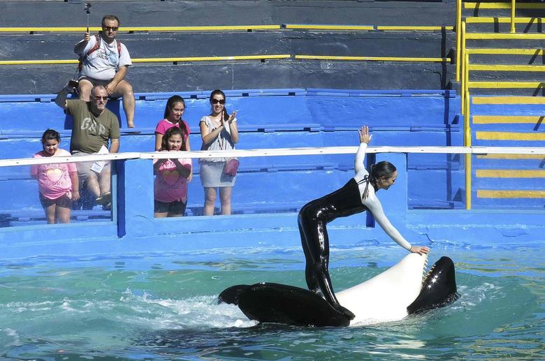 فعالان حامی حیوانات سال‌ها برای آزادی لولیتا لابی کرده‌اند