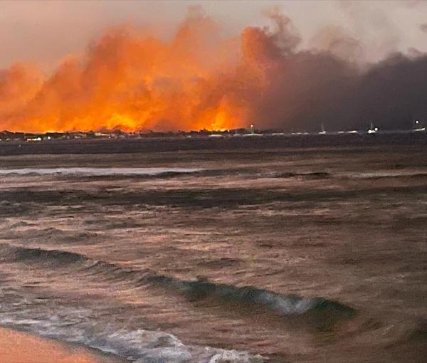 آتش‌سوزی‌ هاوایی به مرگبارترین آتش‌سوزی جنگلی در امریکا در یک قرن اخیر تبدیل شد