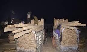 طالبان وايي، چې کونړ کې یې د چهارتراش لرګیو د قاچاق مخه نیولې ده