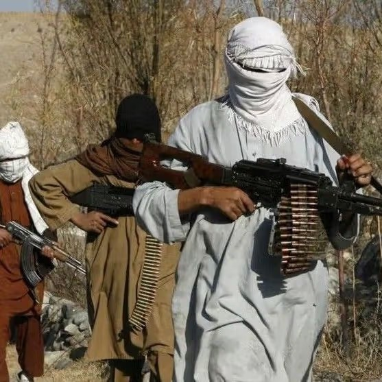 باكستان: طالبان تؤوي المتمردين الباكستانيين تحت غطاء "اللاجئين"