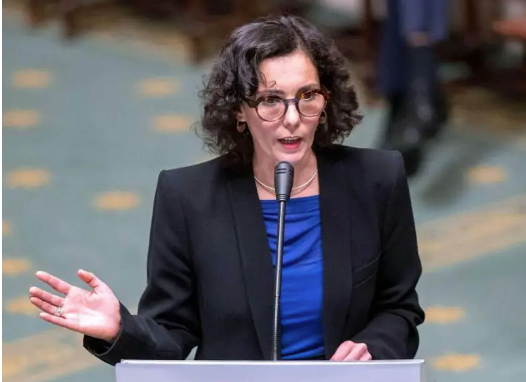 Taliban Law Seeks to Erase Women from Public Life, Says Belgian FM