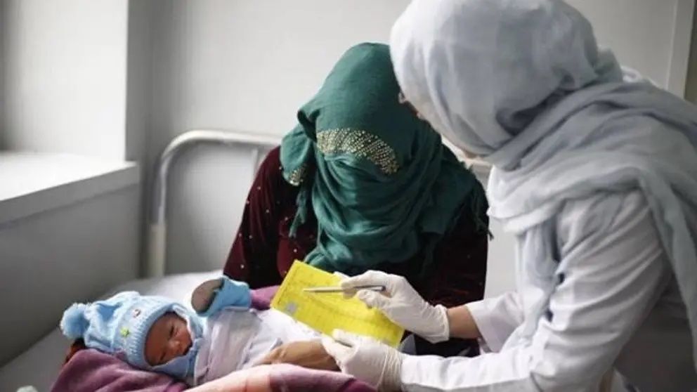 ټیلګراف ورځپاڼه: طالبانو د افغانستان زېږنتونونه له بحران سره مخ کړي دي