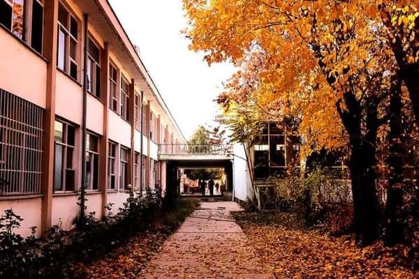 سازمان ملل: شمار دانشجویان مرد در افغانستان یکسوم کاهش یافته است