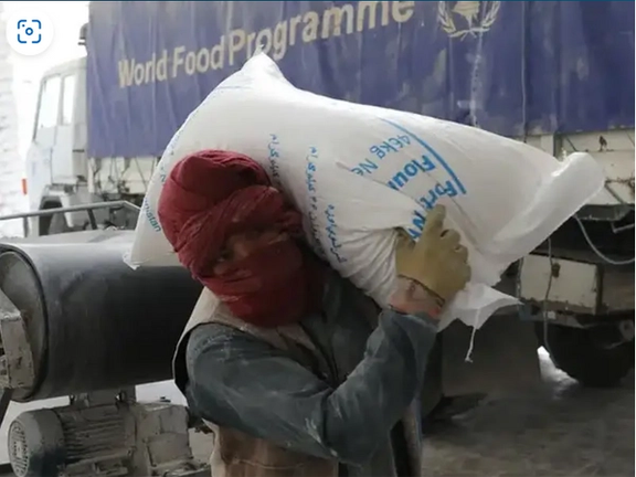 15 Million People in Afghanistan Face Hunger, Warns WFP