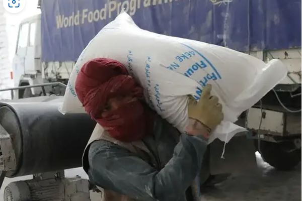 15 Million People in Afghanistan Face Hunger, Warns WFP