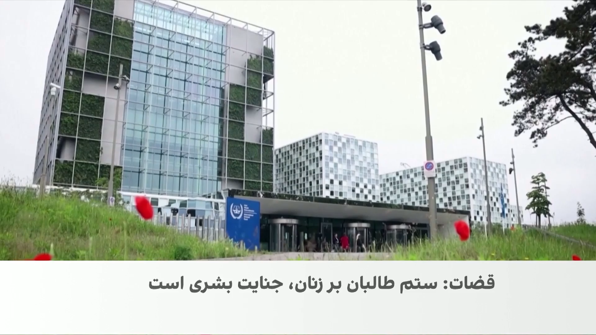 درخواست تحقیق مستقل درباره آزار جنسیتی طالبان