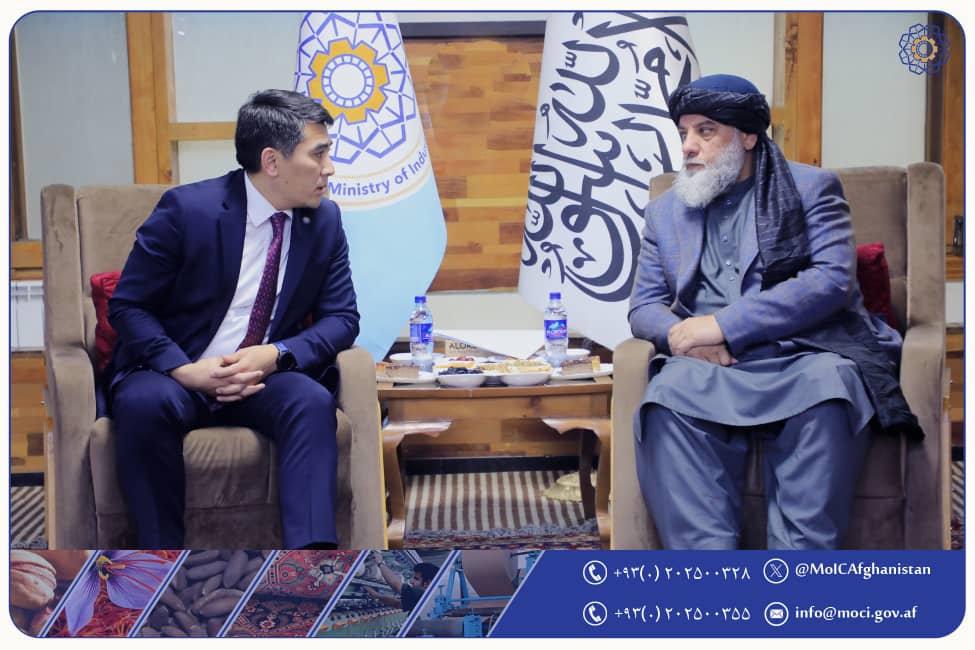 نورالدین عزیزي له قرغیزستاني چارواکي سره د سوداګریزو اړیکو پر پراختیا بحث وکړ