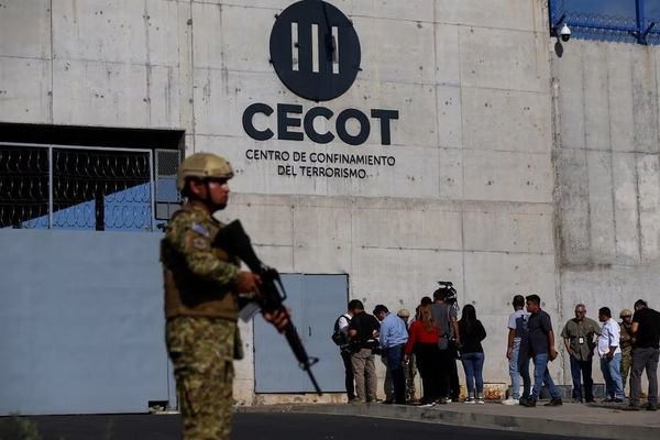 Two Afghan Interpreters Face Deportation From US Despite Legal Immigration Status