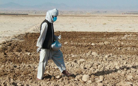 جاپان پروژه ۹.۵ میلیون دالری بهینهسازی آبیاری در کنر را تمویل میکند