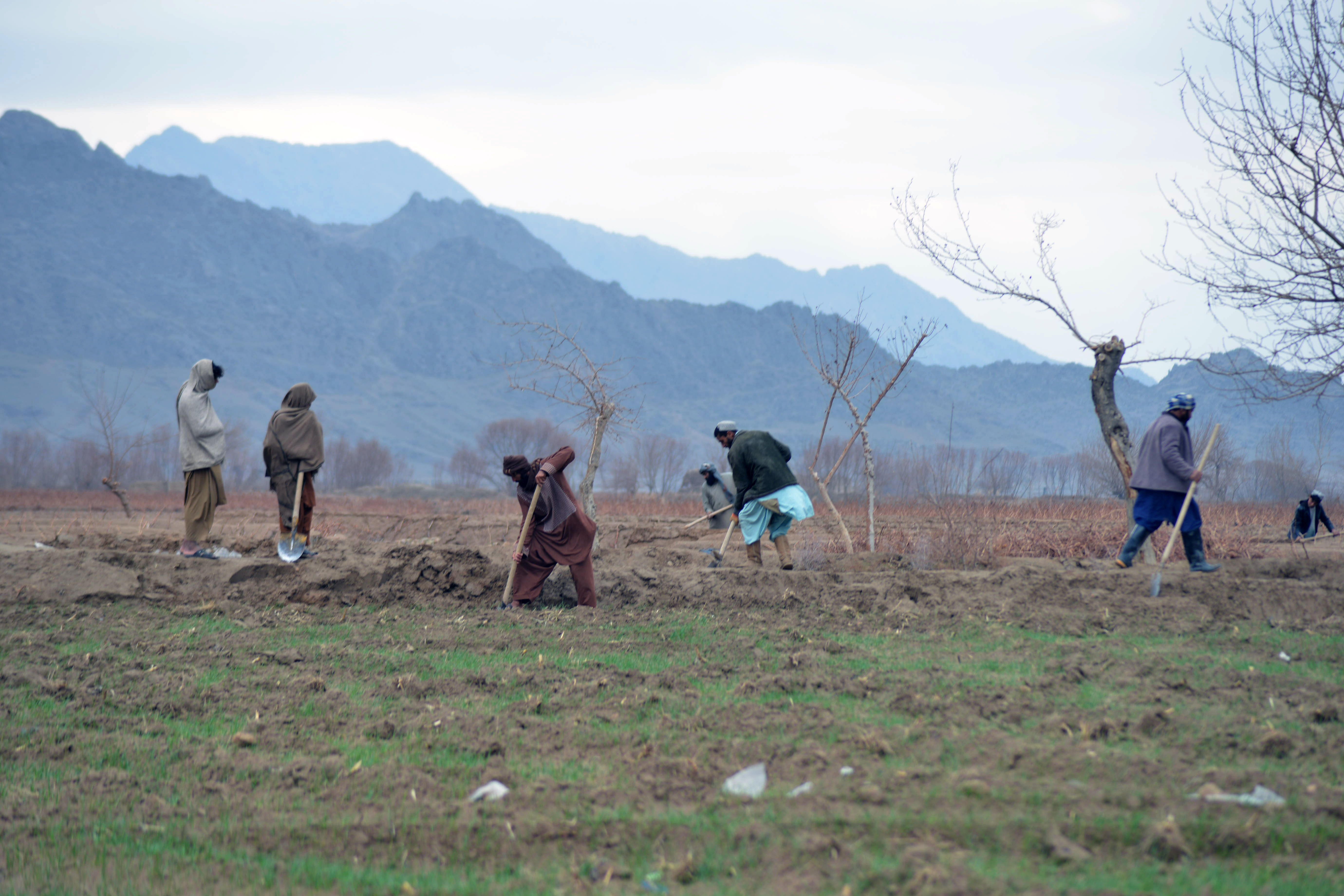 کندهاري کروندګر: طالبان زموږ په نوم راغلې مرستې پر خپلو ملګرو وېشي