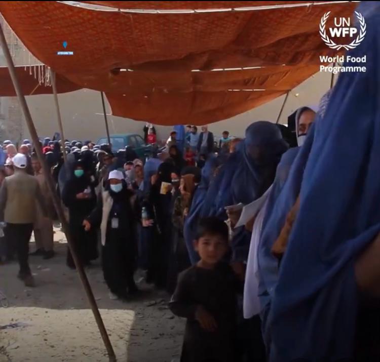 ډبلیو اېف پي: ځینې افغان کلینیکونو کې د خوارځواکو میندو او ماشومانو شمېر دوه برابره شوی