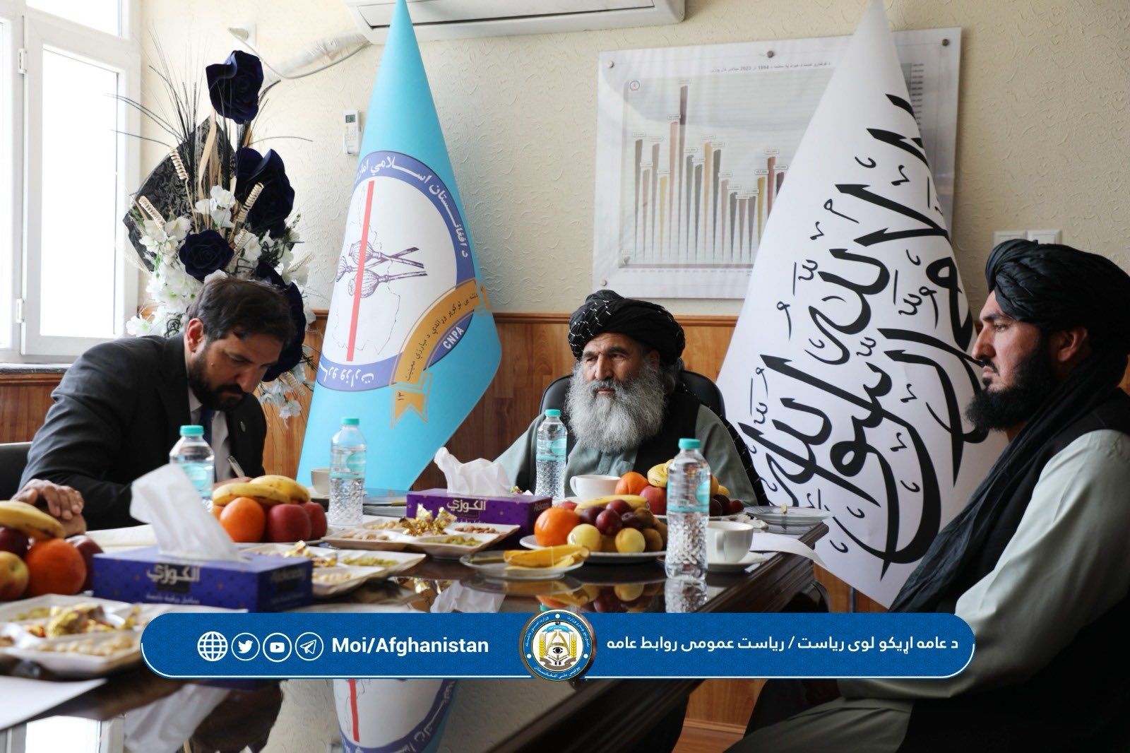طالبان وايي چې له نړیوالو بنسټونو سره د نشه يي توکو پرضد مبارزه کې همکاري کوي
