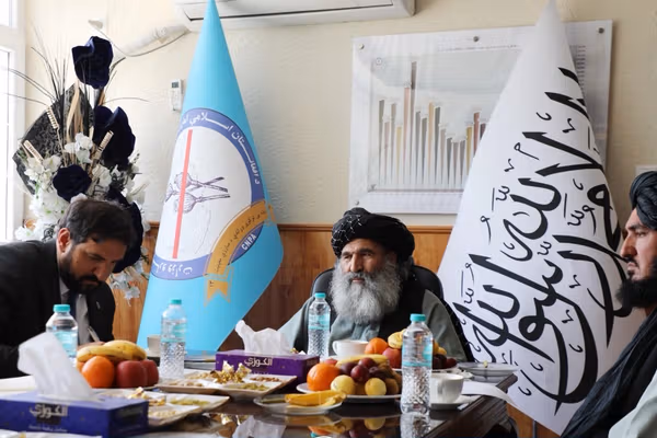 طالبان وايي چې له نړیوالو بنسټونو سره د نشه يي توکو پرضد مبارزه کې همکاري کوي