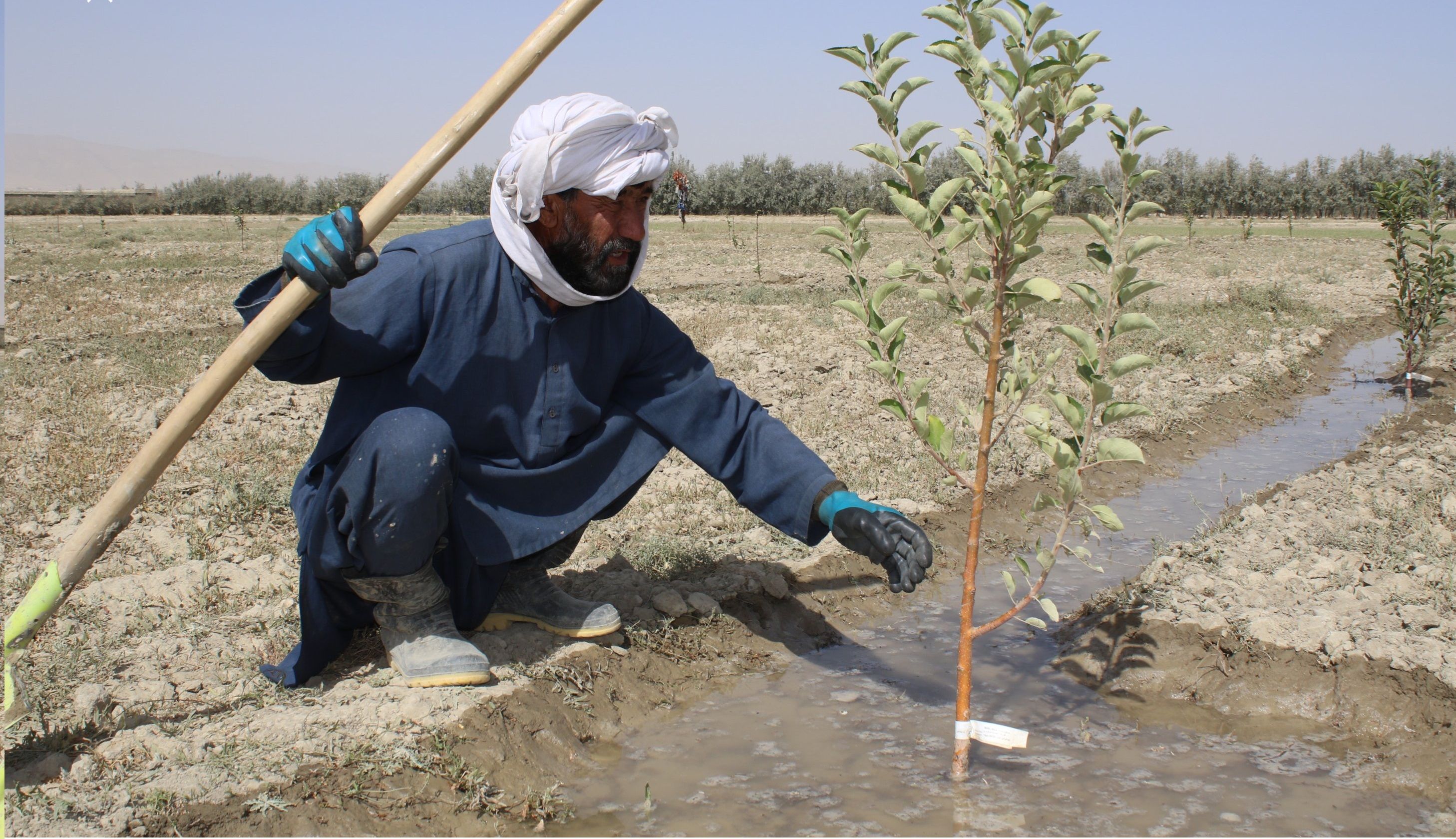 ملګري ملتونه: د پکتیا او پکتیکا تر زرو ډېرو کورنیو ته کرنیز او سوداګریز فرصتونه برابر شوي