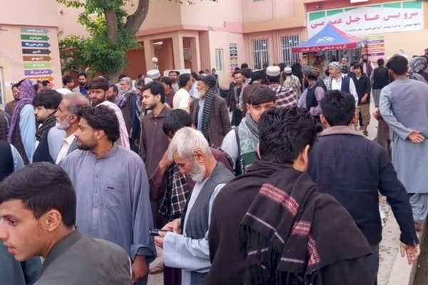 د ملګرو ملتونو استازځي د هرات پېښې په تړاو له طالبانو نه د هر اړخیزې پلټنې غوښتنه کړې